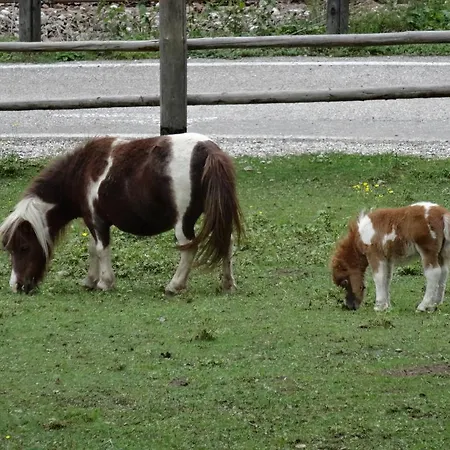 Winnewieser-hof Vintl